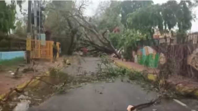বিহারে ভয়াবহ বজ্রপাত ও শিলাবৃষ্টিতে ২ দিনে ২৫ জনের মৃত্যু