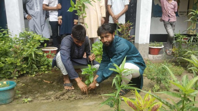 শিবগঞ্জে শিবিরের বৃক্ষরোপণ কর্মসূচি পালন