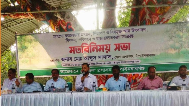 চাঁপাইনবাবগঞ্জে এবার থাকছে না ম্যাংগো ক্যালেন্ডার, পরিপক্ব হলেই তোলা যাবে আম